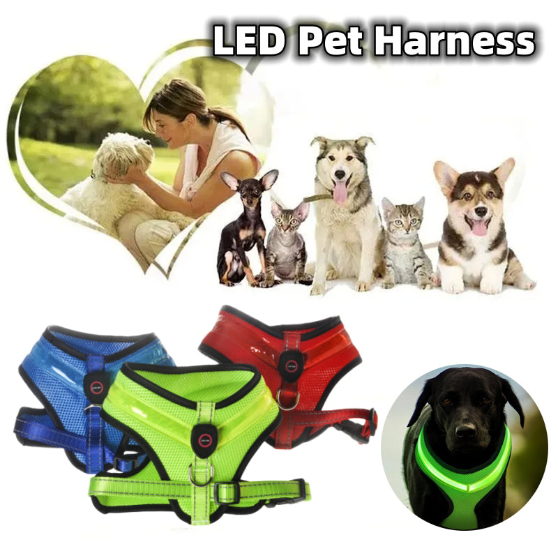 LED Light-Up Dog Harness USB rechargeable safety vest