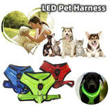 LED Light-Up Dog Harness USB rechargeable safety vest