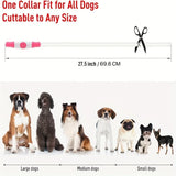 Pet Dog LED Light Collar Luminous Anti-Lost Dog Collar USB Rechargeable Dog Necklace Collar