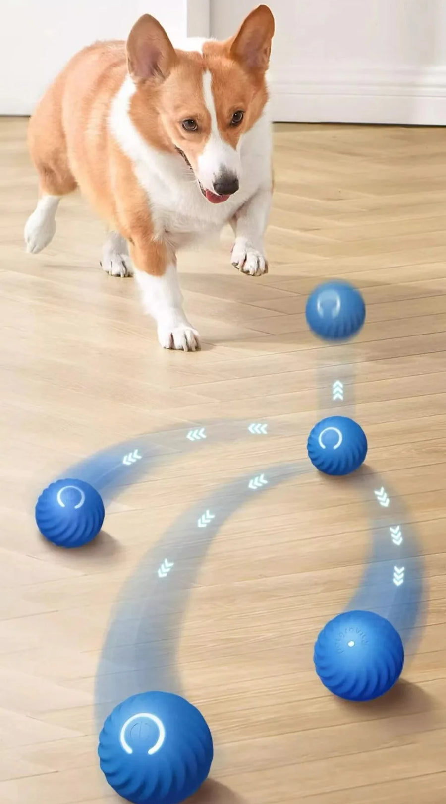 Smart Interactive Dog Toy Ball | Auto-Moving | USB Rechargeable | Jumping & Rotating | Puppies & Dogs