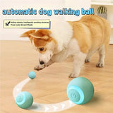 Interactive Smart Cat Ball | Automatic Rolling | Indoor Exercise Toy for Cats & Kittens