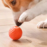 Smart Interactive Dog Toy Ball | Auto-Moving | USB Rechargeable | Jumping & Rotating | Puppies & Dogs