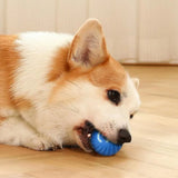 Smart Interactive Dog Toy Ball | Auto-Moving | USB Rechargeable | Jumping & Rotating | Puppies & Dogs