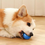 Smart Interactive Dog Toy Ball | Auto-Moving | USB Rechargeable | Jumping & Rotating | Puppies & Dogs