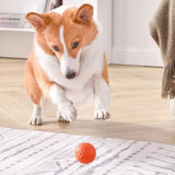 Smart Interactive Dog Toy Ball | Auto-Moving | USB Rechargeable | Jumping & Rotating | Puppies & Dogs