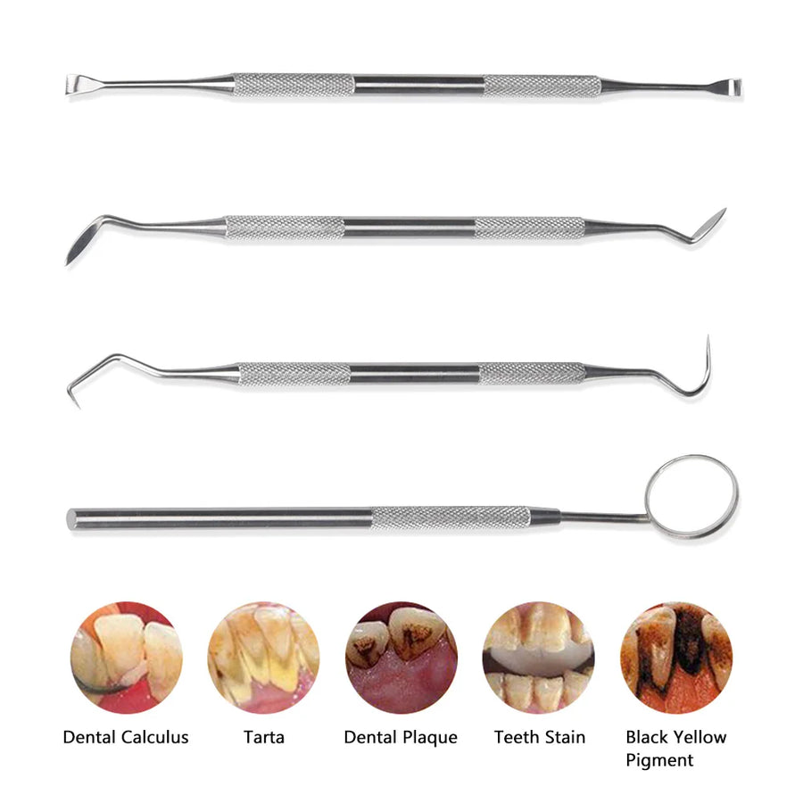 Electric Dental Scaler & Teeth Cleaner | 5 Modes | HD Visual Camera | IPX6 Waterproof