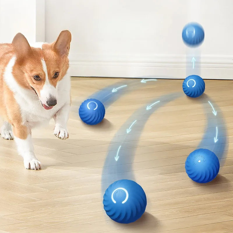 Smart Interactive Dog Toy Ball | Auto-Moving | USB Rechargeable | Jumping & Rotating | Puppies & Dogs