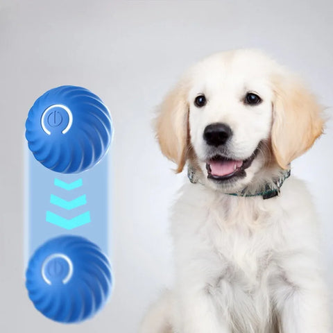 Smart Interactive Dog Toy Ball | Auto-Moving | USB Rechargeable | Jumping & Rotating | Puppies & Dogs