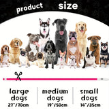 Pet Dog LED Light Collar Luminous Anti-Lost Dog Collar USB Rechargeable Dog Necklace Collar