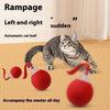 Interactive Electric Cat Toy Ball auto shut-off rolling toy