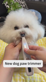 Pet Electric Grooming Trimmer | LED Light | Waterproof | Low Noise | Face, Paw, Ear & Hip | Dogs & Cats