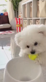 Automatic Dog Ball Launcher | Indoor & Outdoor Fetch Machine
